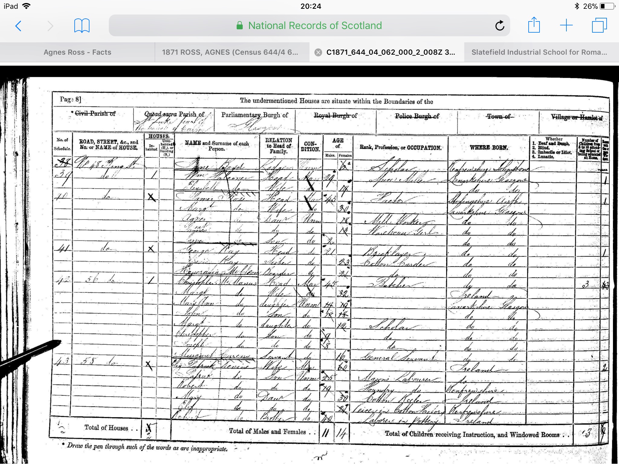 1871 Census, April 1871, Linked To: <a href='i25511.html' >James Ross 🔗</a>